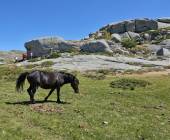 Trek the GR20 of Corsica