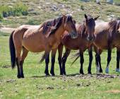 Trek the GR20 of Corsica