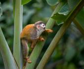 Discover Costa Rica – Coastal Edition