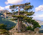 Trek the GR20 of Corsica