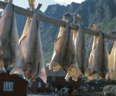 Hike the Lofoten and Vesterålen Islands