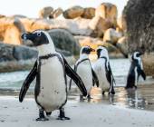 Cycling the Cape & Winelands