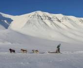 Svalbard Arctic Adventure – Sunny Winter