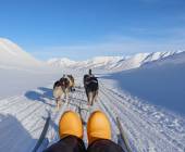 Svalbard Arctic Adventure – Sunny Winter