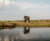 Botswana & Zimbabwe Lodge Safari
