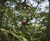 Discover Costa Rica – Coastal Edition