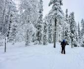 Finland Family Winter Adventure