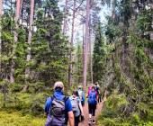 Estonia to Finland Adventure