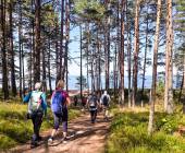 Estonia to Finland Adventure