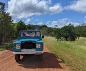 Mexico’s Yucatán Adventure