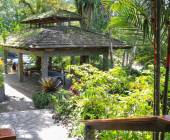 Aguila de Osa Rainforest Lodge