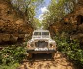 Mexico’s Yucatán Adventure