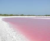 Mexico’s Yucatán Adventure