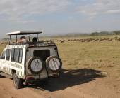 Tanzania Safari Adventure