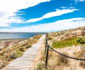 Valdés Peninsula Add-on Tour