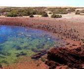 Valdés Peninsula Add-on Tour