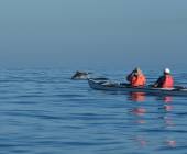 Highlights of South Africa’s Winelands