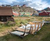 Greenland to Newfoundland: Mountains, Wildlife and Viking History