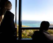 Highlights of South Africa’s Winelands