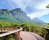 Highlights of South Africa’s Winelands