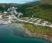 Greenland to Newfoundland: Mountains, Wildlife and Viking History