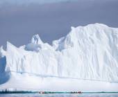 Penguins of the Far South: Falklands, South Georgia & Antarctica