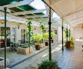 Highlights of South Africa’s Winelands