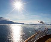 Antarctic Express: Sail South, Fly North via Buenos Aires