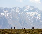 Hike Spain’s Picos de Europa