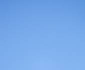 Puma Tracking Add-on Tour