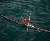 Greenland to Newfoundland: Mountains, Wildlife and Viking History