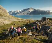 Under the Northern Lights: Exploring Iceland & East Greenland