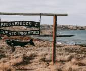 Valdés Peninsula Add-on Tour