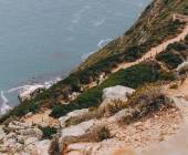 Discover South Africa’s Garden Route