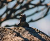 Discover South Africa’s Garden Route