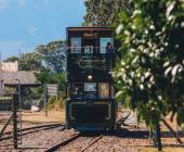 Discover South Africa’s Garden Route