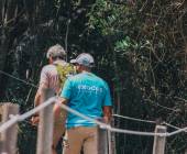 Discover South Africa’s Garden Route