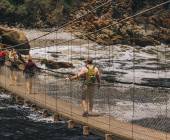 Discover South Africa’s Garden Route