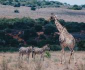 Discover South Africa’s Garden Route