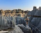 Madagascar Wildlife Adventure