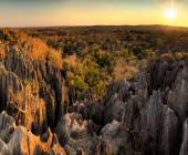 Madagascar Wildlife Adventure