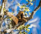 Madagascar Wildlife Adventure