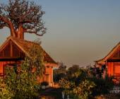 Madagascar Wildlife Adventure