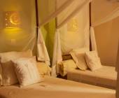 Madagascar Wildlife Adventure