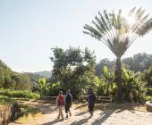 Madagascar Wildlife Adventure