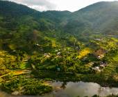 Madagascar Wildlife Adventure