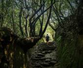 Hiking the Kathmandu Valley Add-on Tour