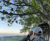 Italian Apennines: Walks & Wildlife