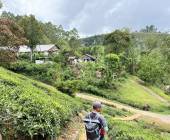 Hike Sri Lanka’s Pekoe Trail