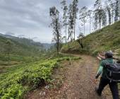 Hike Sri Lanka’s Pekoe Trail